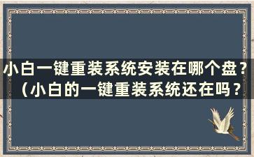 小白一键重装系统安装在哪个盘？ （小白的一键重装系统还在吗？）